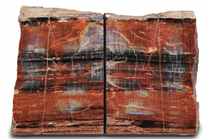 Tall Colorful Arizona Petrified Wood Bookends - Black & Red #382143